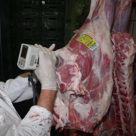 Kalbfleischfarbe bei Vollmilchmast – Maßnahmen zur Verhinderung dunkler Fleischfarbe