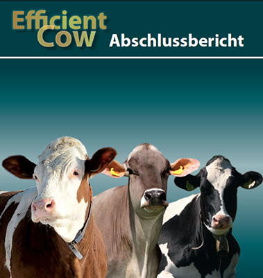 Efficient Cow - Abschlussbericht
