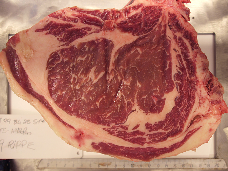 Fleisch-Marmorierung als Qualitätskriterium bei Rindfleisch 