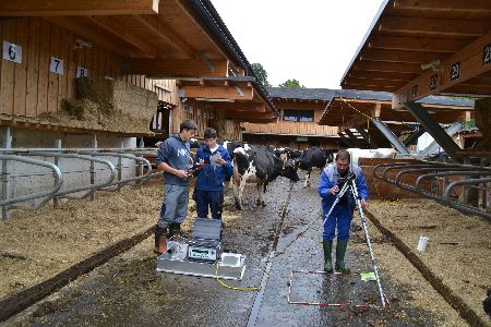 Emissionstechnische Optimierung von Schieberentmistungen im Rinderlaufstall