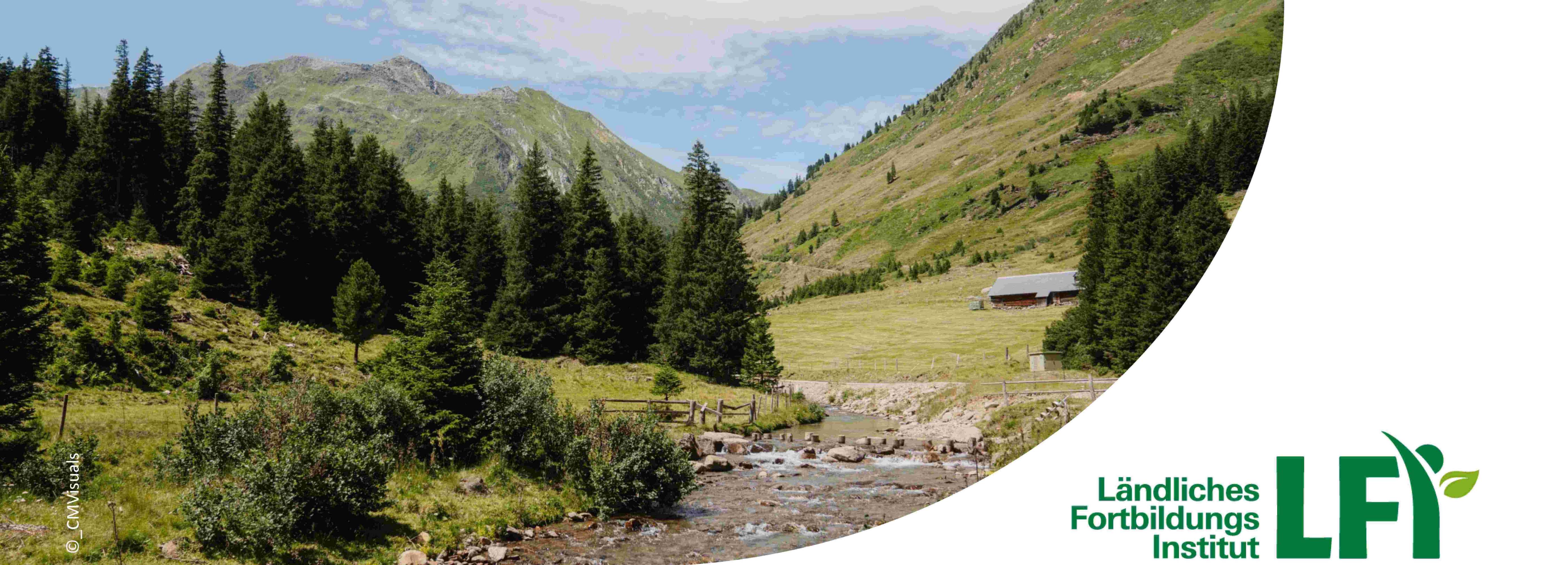 View of an alpine pasture