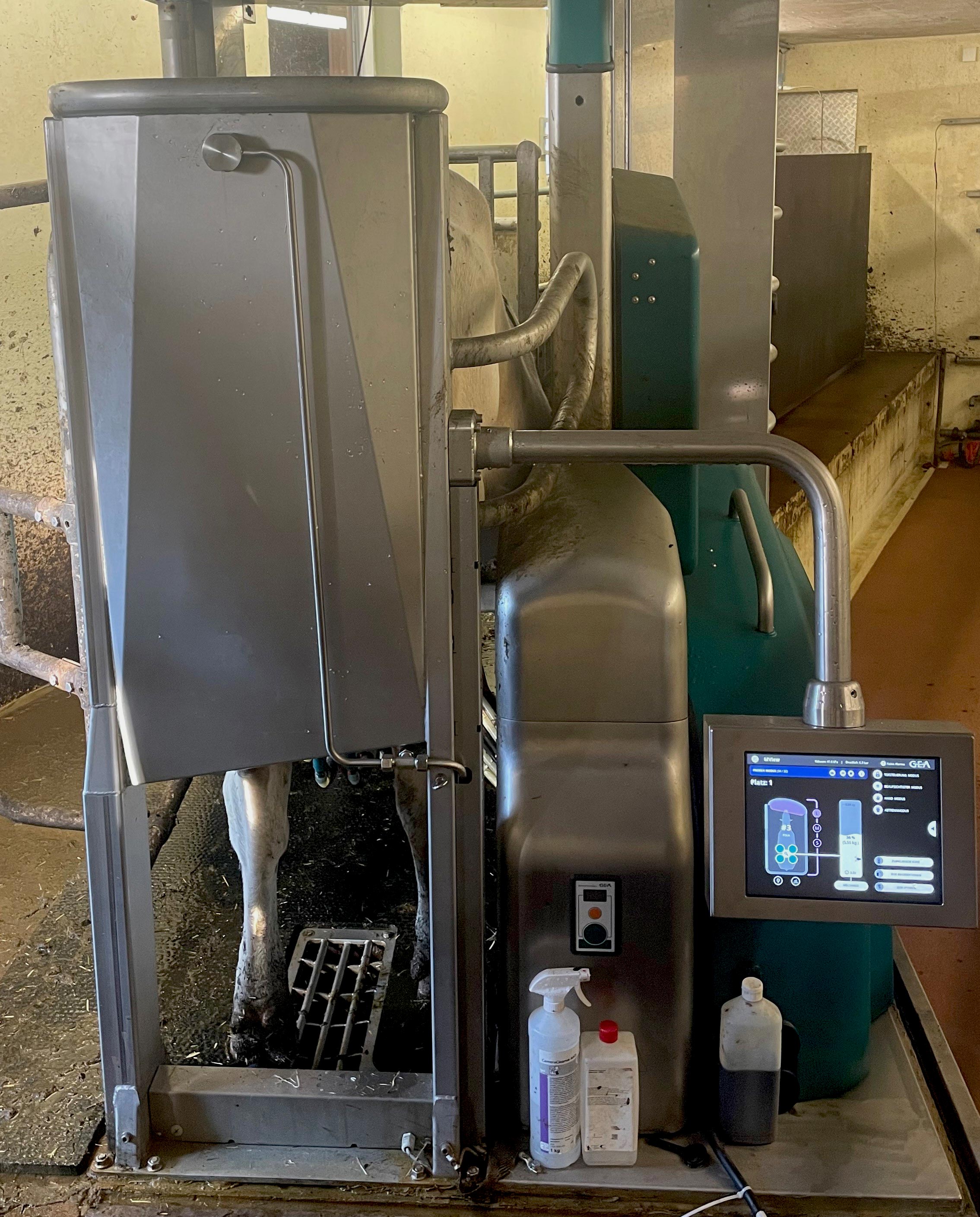 Automatic milking system in the cattle research barn