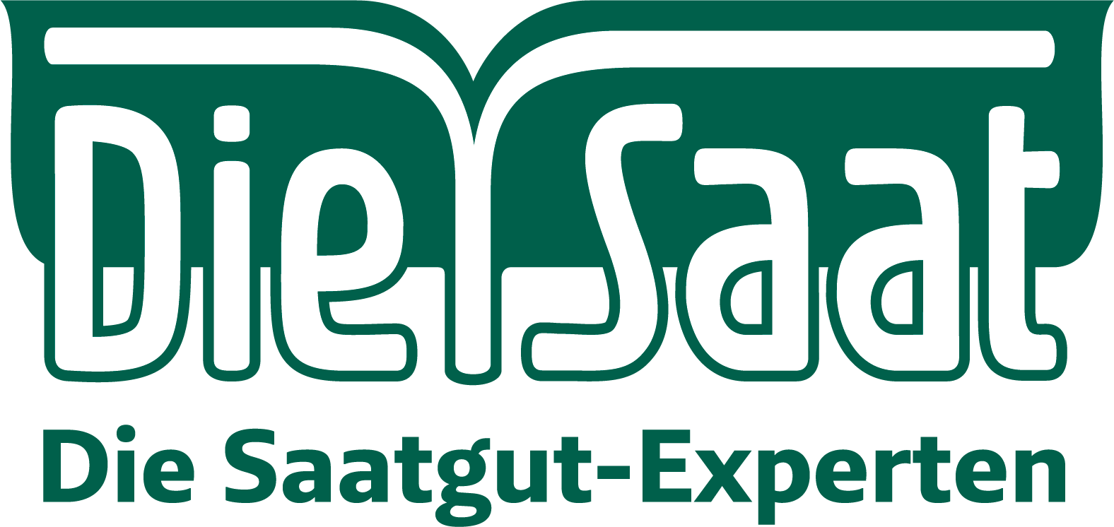 Saat Logo Experten 4c