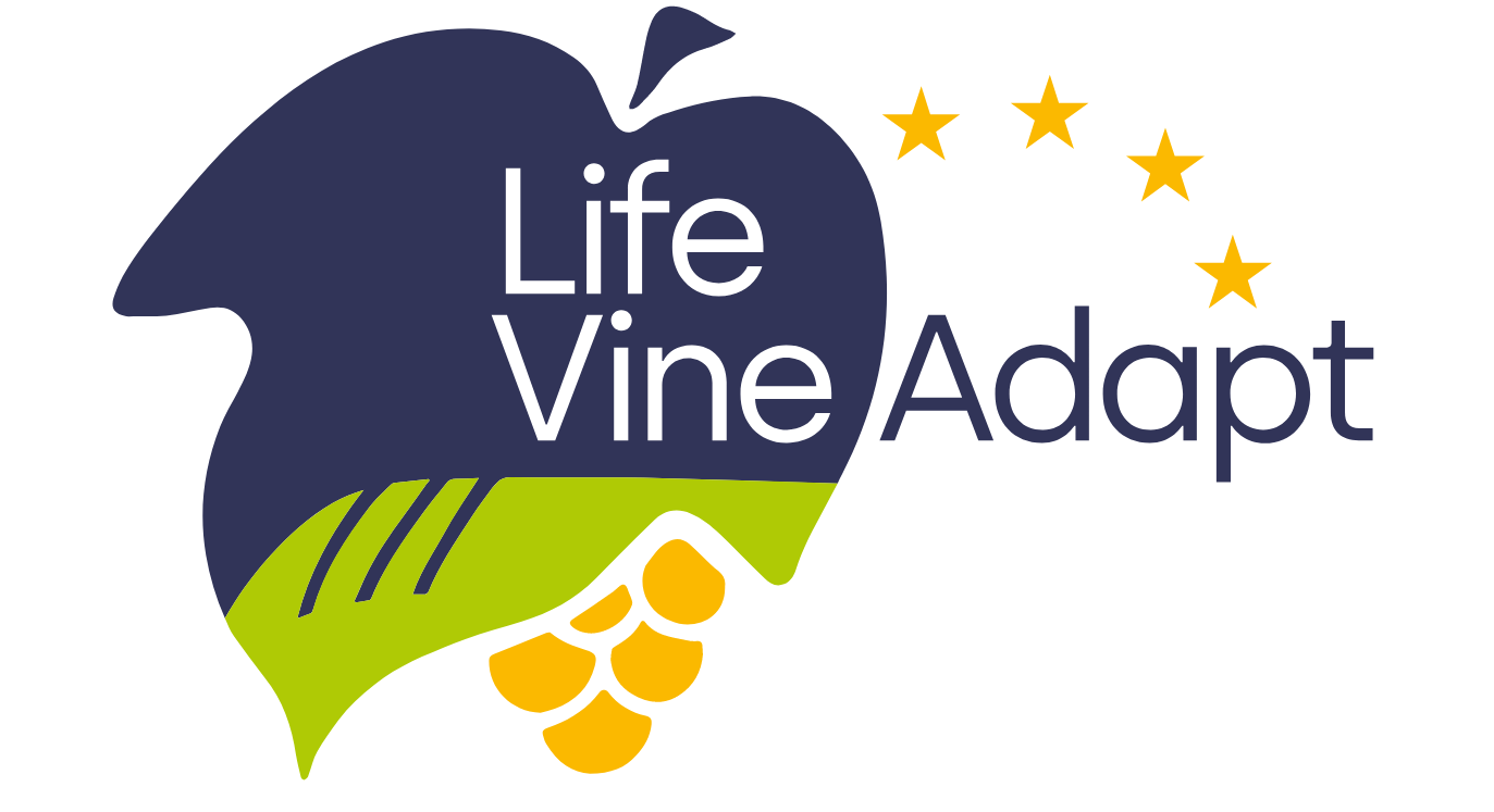 2024 weinbegruenungstagung logo lifeVineAdapt