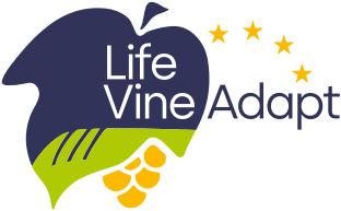 2 2023 LifeVineAdapt Logo zw rgb