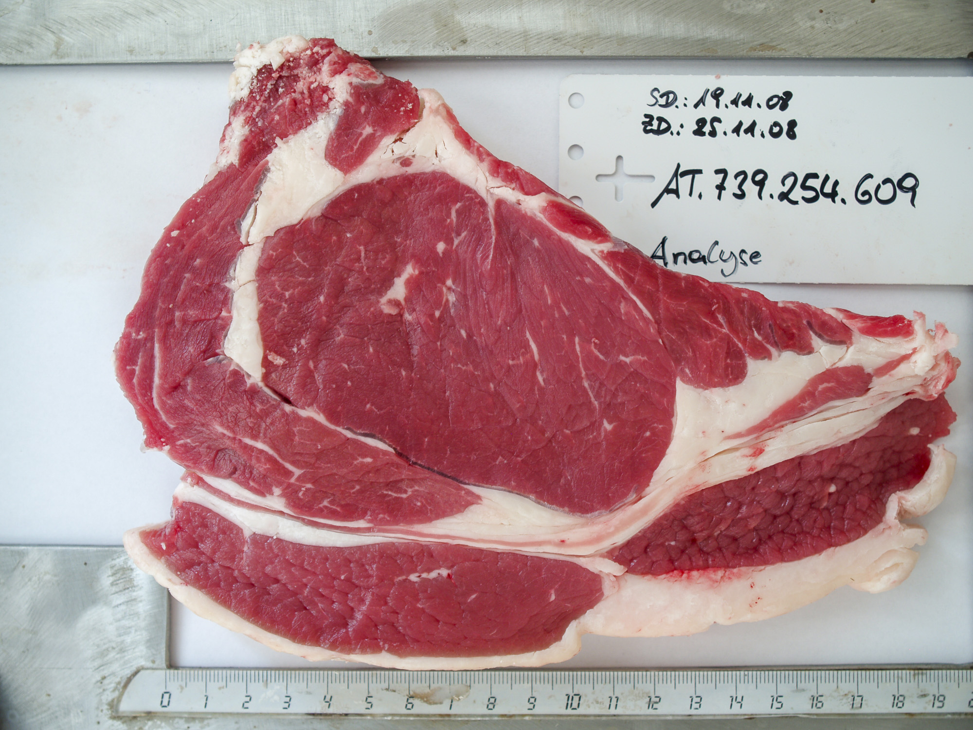 Evaluating meat quality in beef - 83rd Podcast