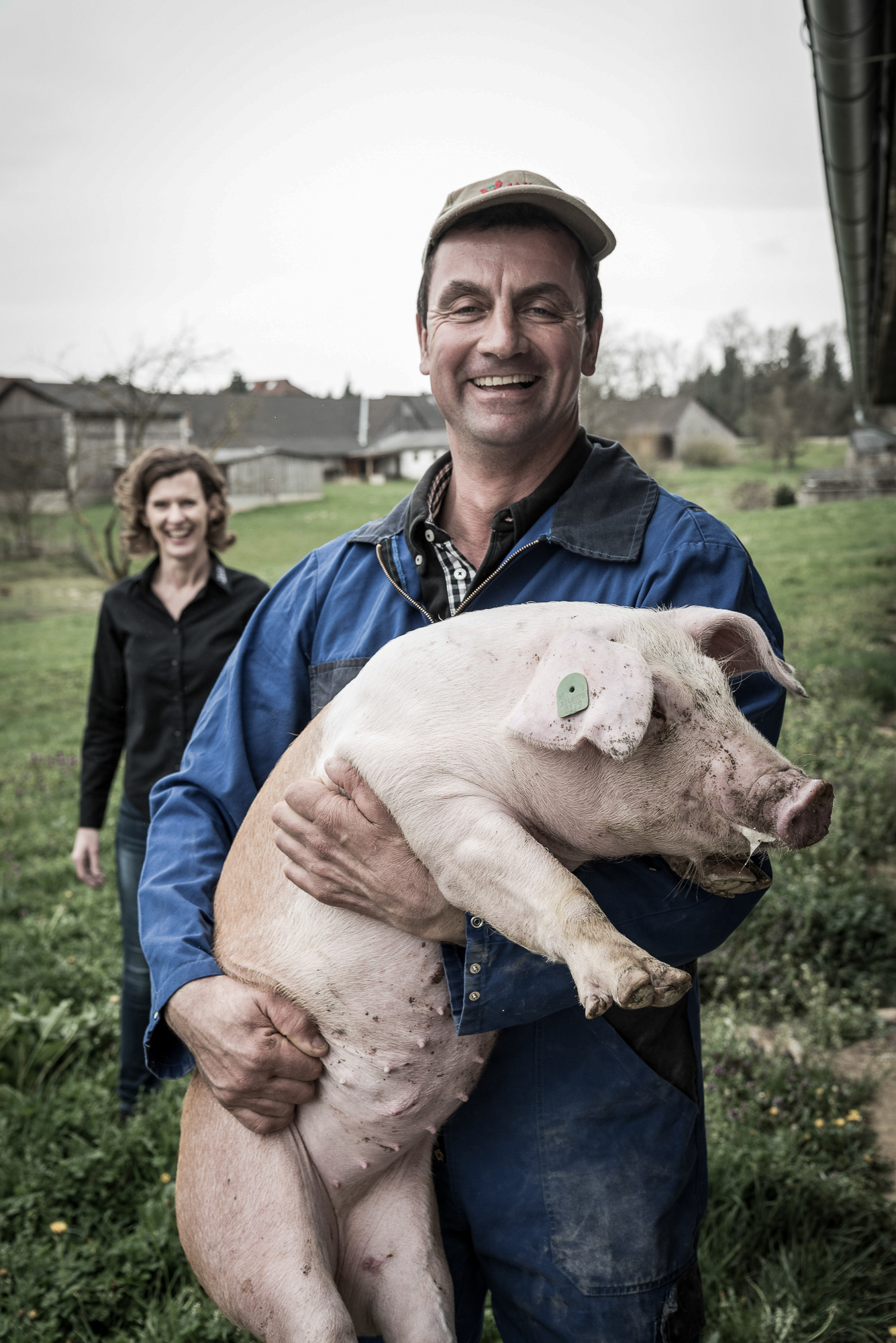64 Erfahrungen zum emissionsarmen Tierwohlstall für Schweine