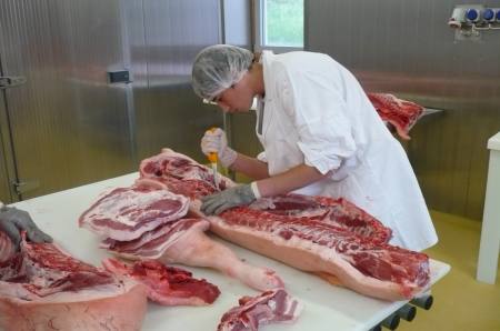 Praktische Ausbildung in Fleischverarbeitung
