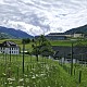 Innovative techniques for sustainable vineyard greening in the HBLFA Raumberg-Gumpenstein podcast